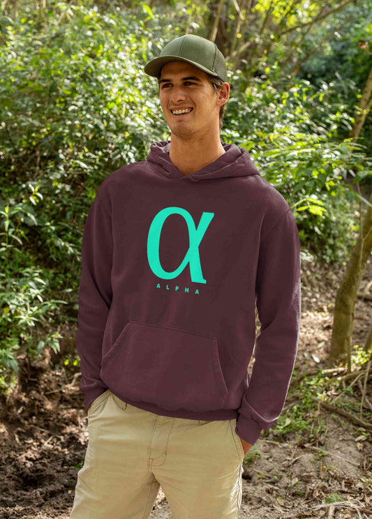 Alpha Men Hoodies-FunkyTeesClub