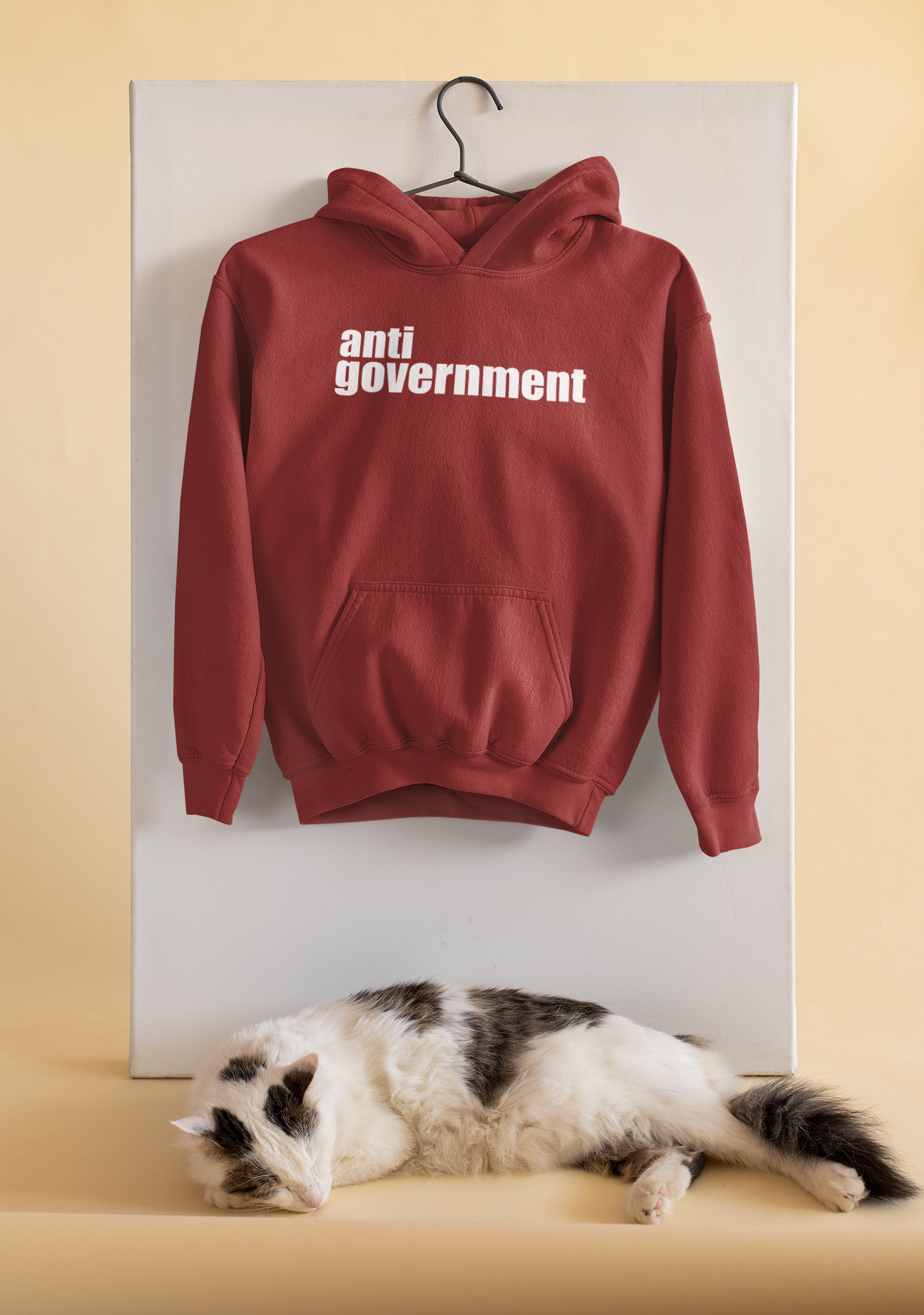 Government Anti-Government Men Hoodies-FunkyTeesClub