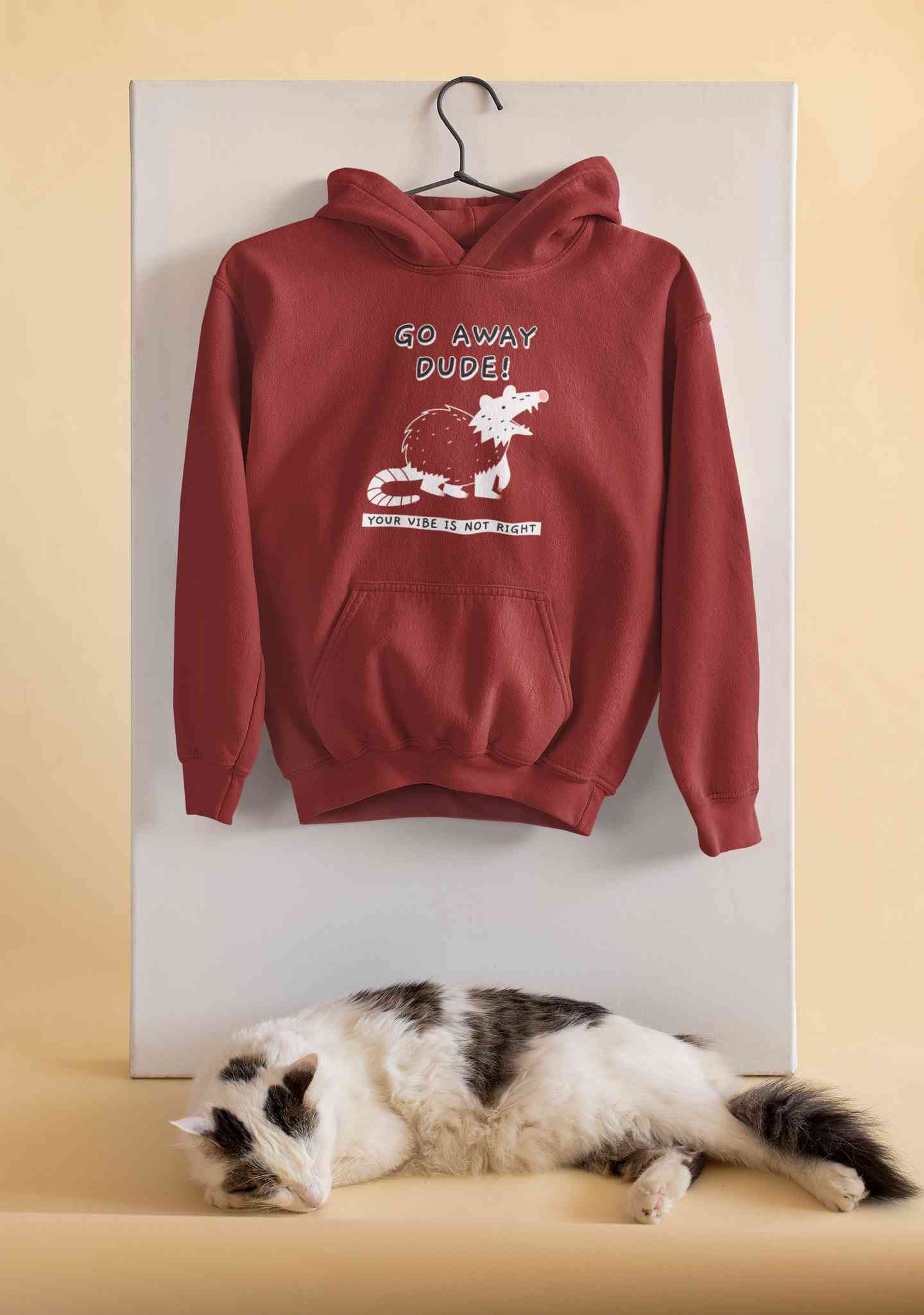 Go Away Dude Your Vibe Is Not Right Funny Hoodies for Women-FunkyTeesClub