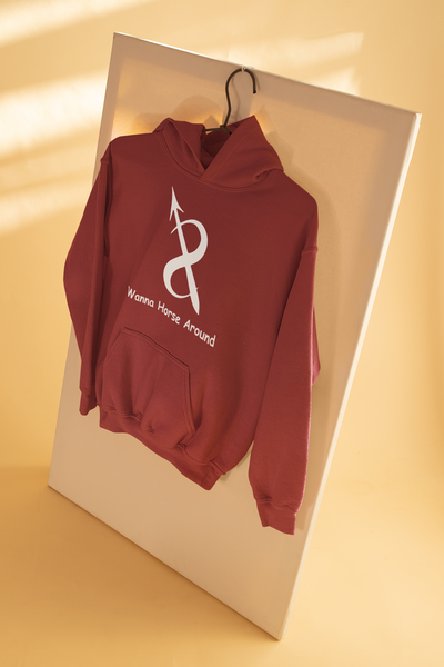 Sagittarius Zodiac Sign Men Hoodies-FunkyTeesClub