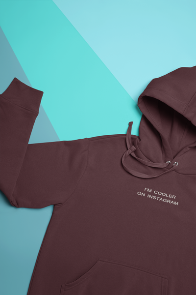 I Am Cooler On Instagram Hoodies for Women-FunkyTeesClub