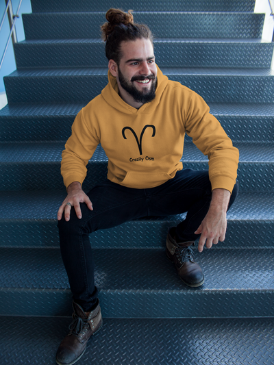 Aries Zodiac Sign Men Hoodies-FunkyTeesClub