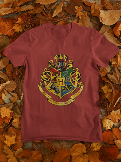 Harry Potter Web Series Mens Half Sleeves T-shirt- FunkyTeesClub