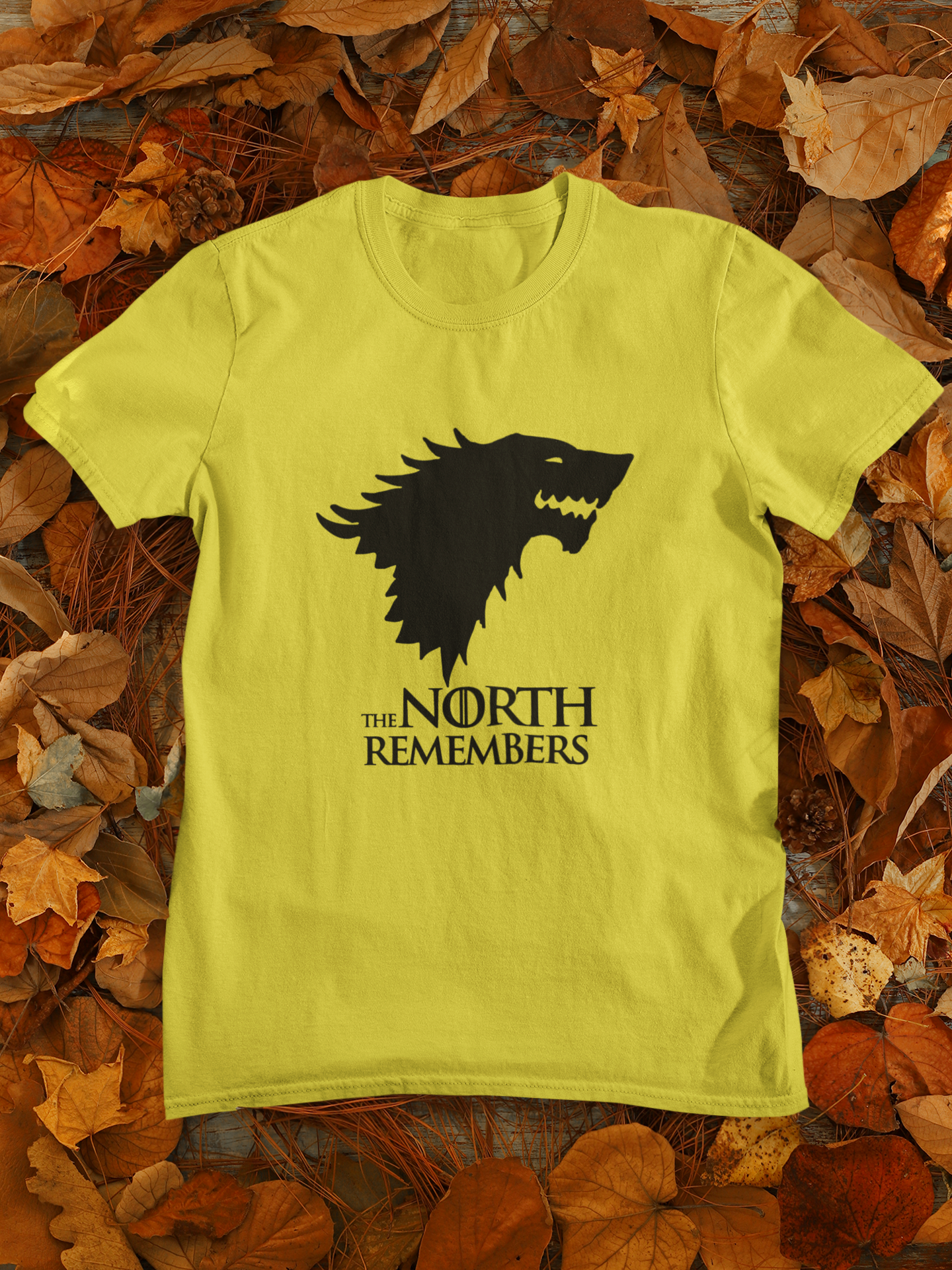 The North Remembers Web Series Women Half Sleeves T-shirt- FunkyTeesClub