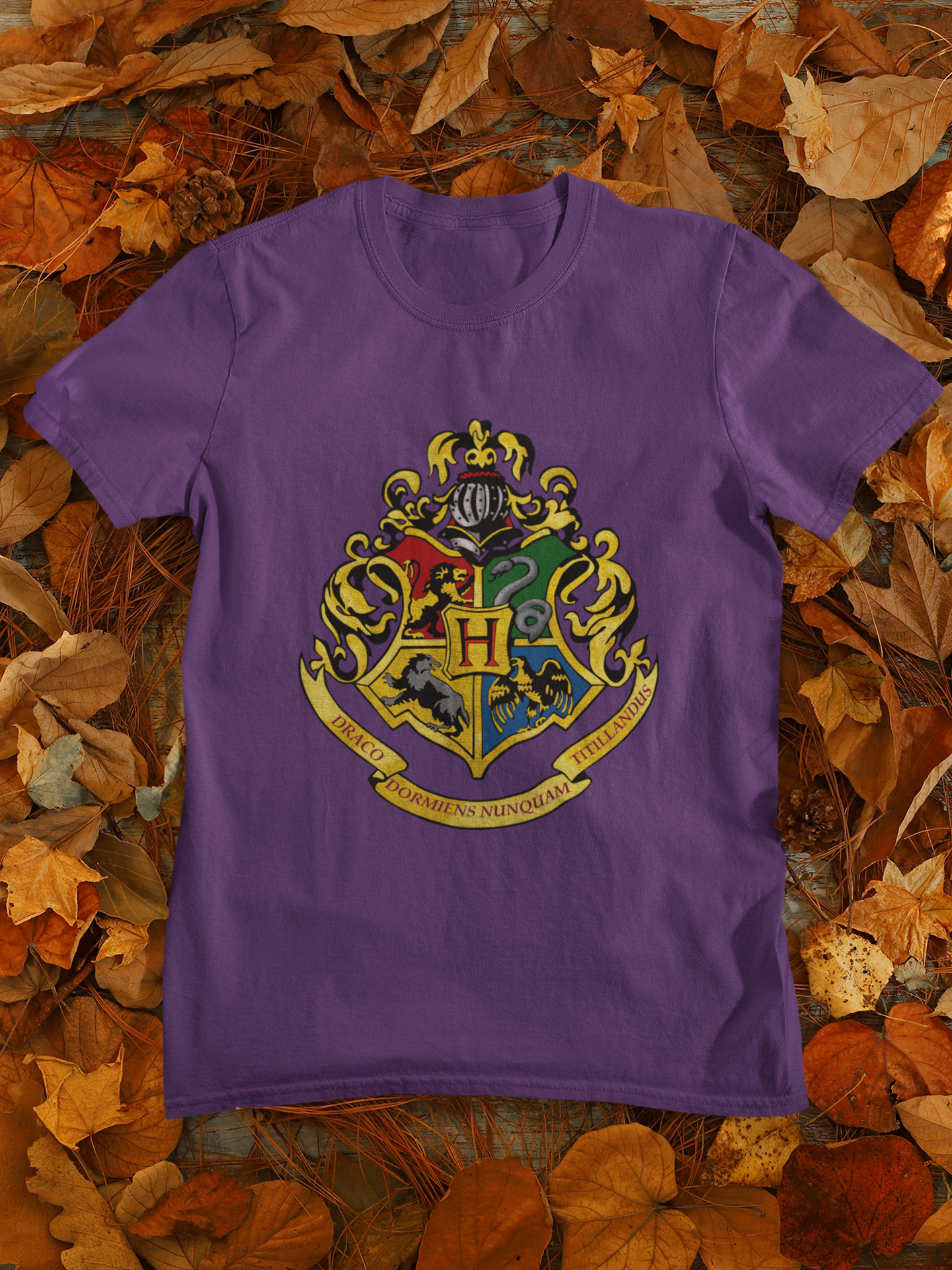 Harry Potter Web Series Mens Half Sleeves T-shirt- FunkyTeesClub