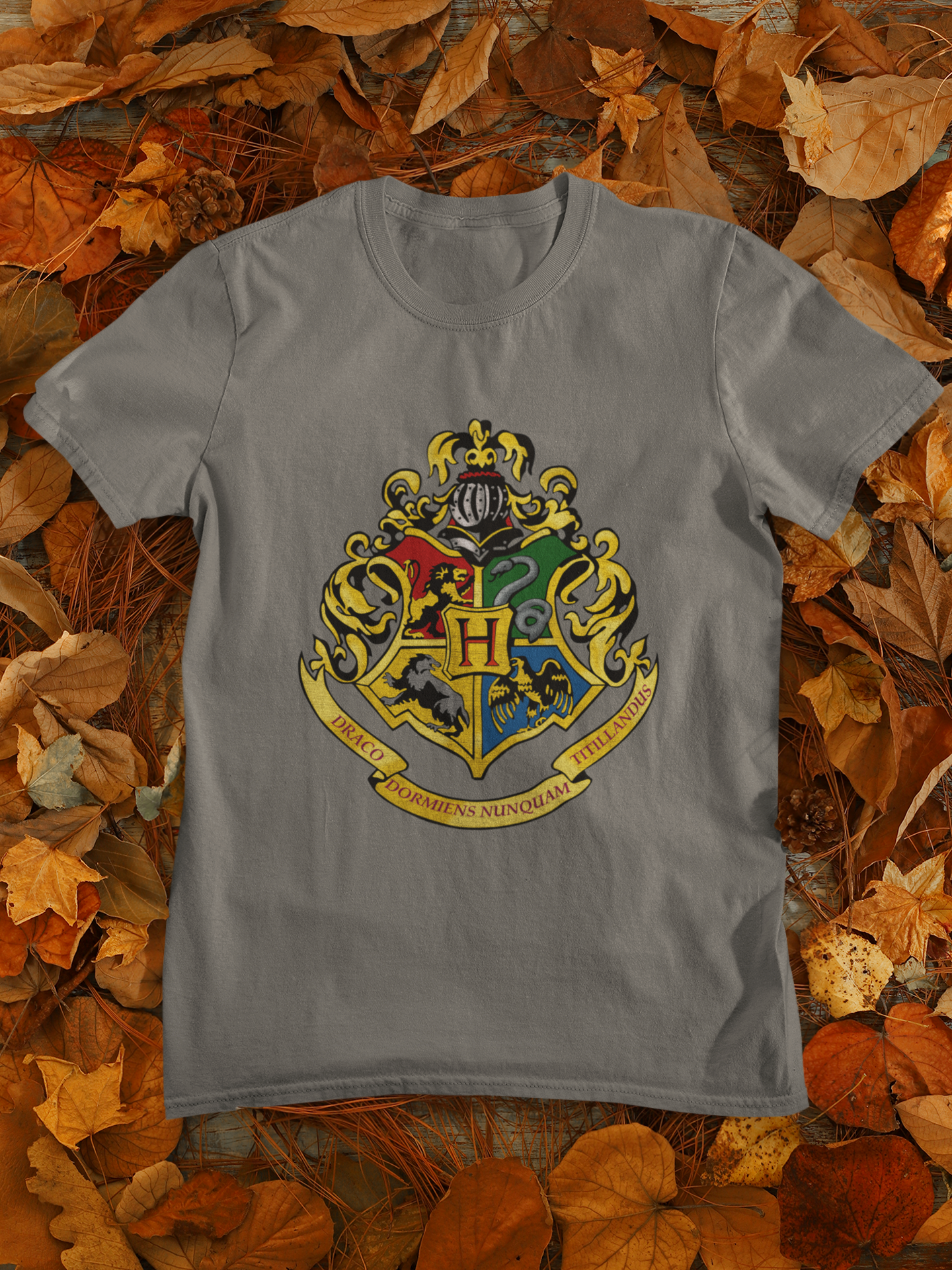 Harry Potter Web Series Women Half Sleeves T-shirt- FunkyTeesClub