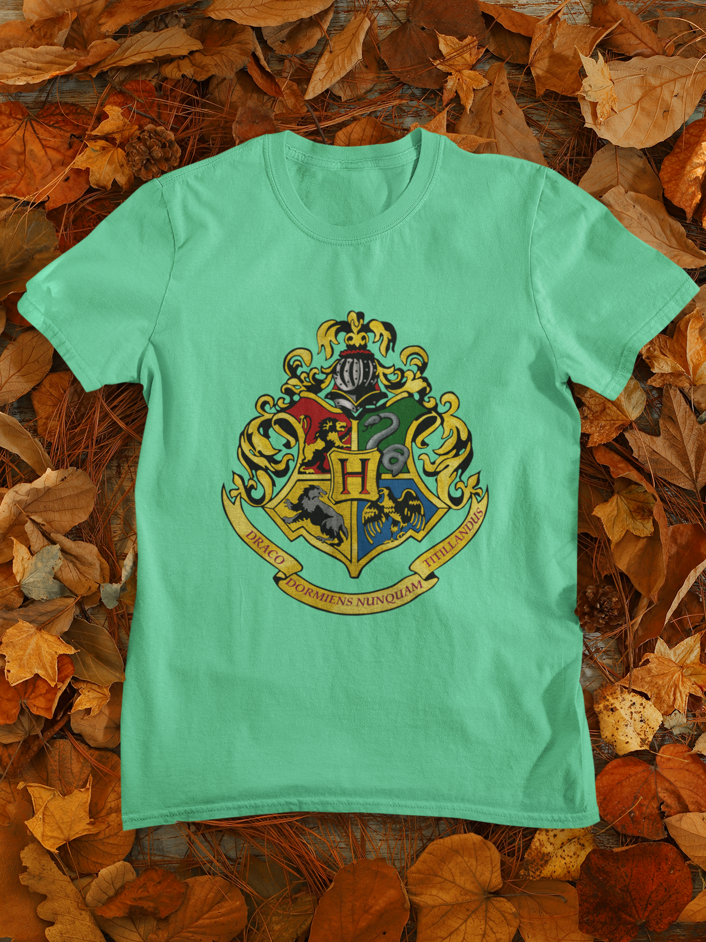 Harry Potter Web Series Mens Half Sleeves T-shirt- FunkyTeesClub