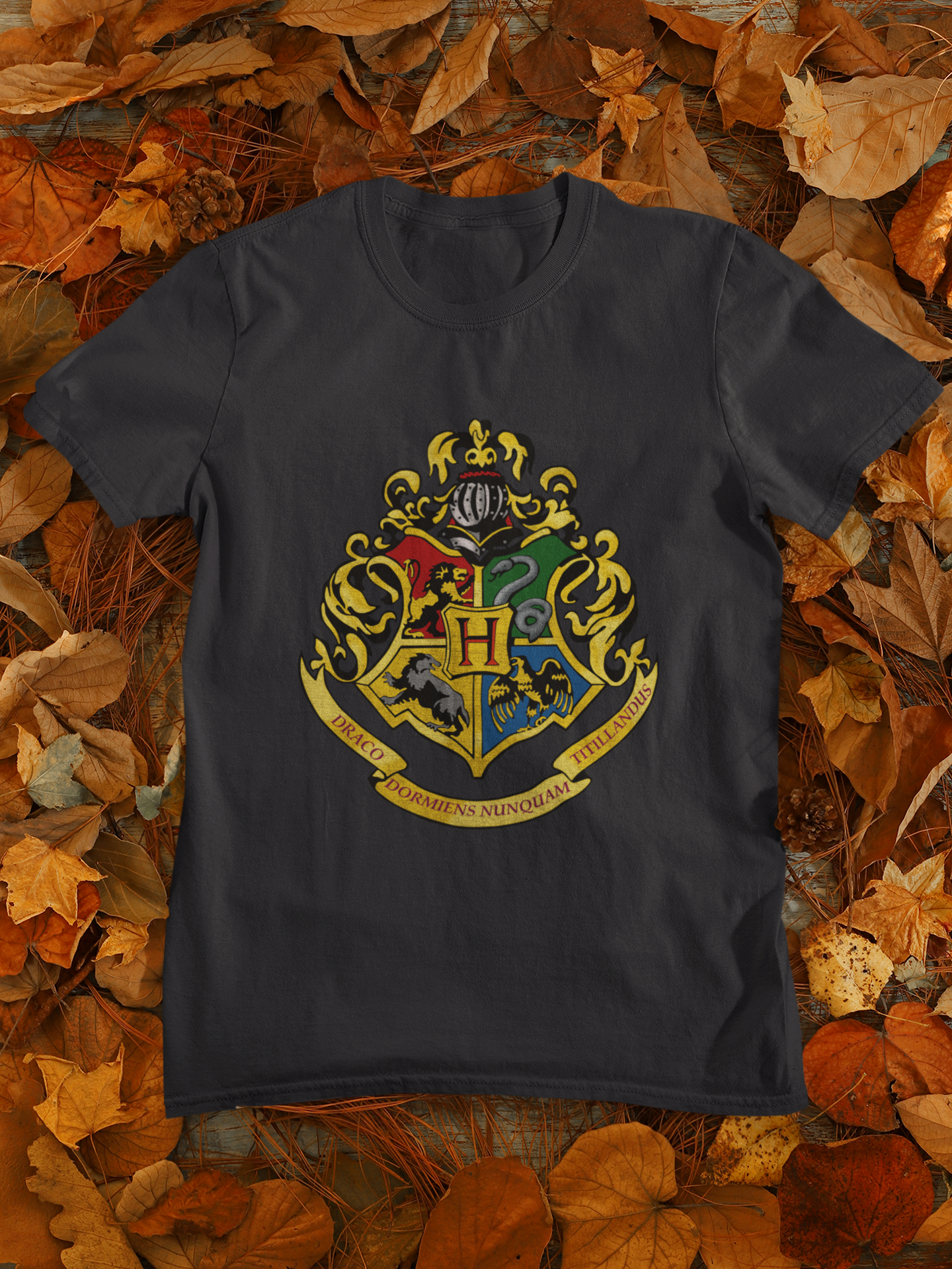 Harry Potter Web Series Mens Half Sleeves T-shirt- FunkyTeesClub