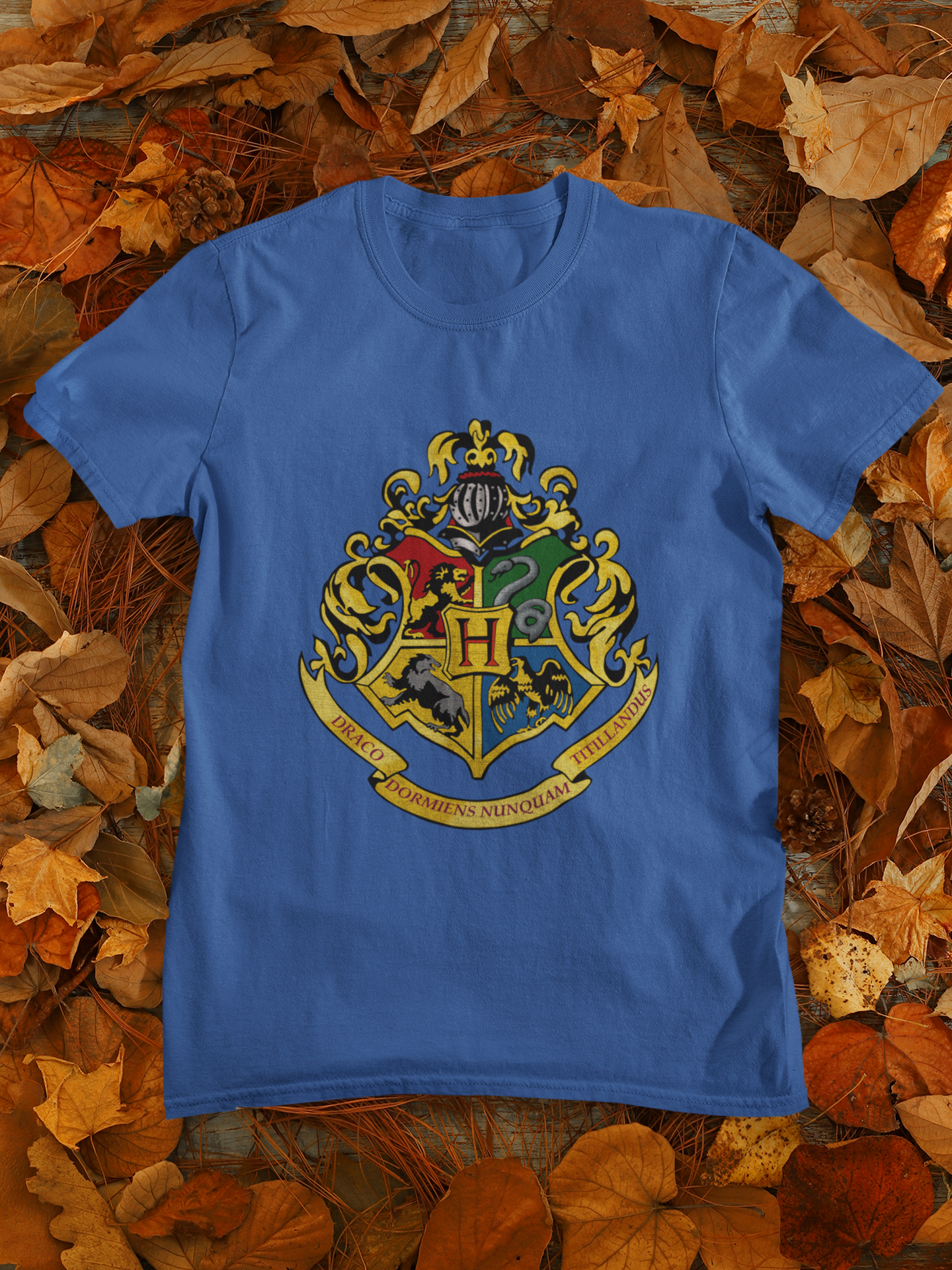 Harry Potter Web Series Women Half Sleeves T-shirt- FunkyTeesClub