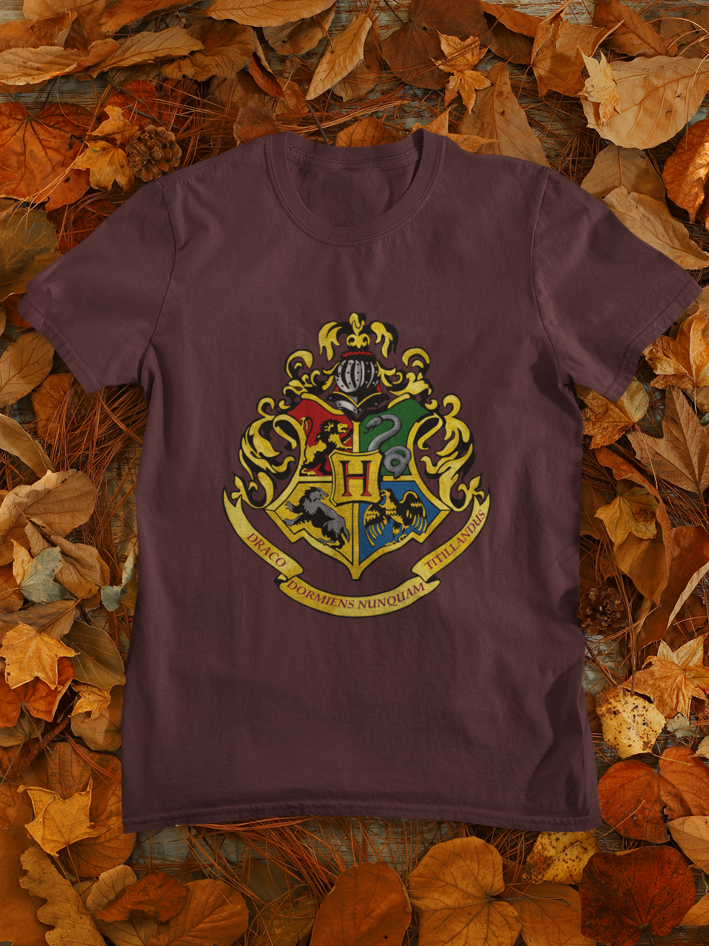 Harry Potter Web Series Women Half Sleeves T-shirt- FunkyTeesClub