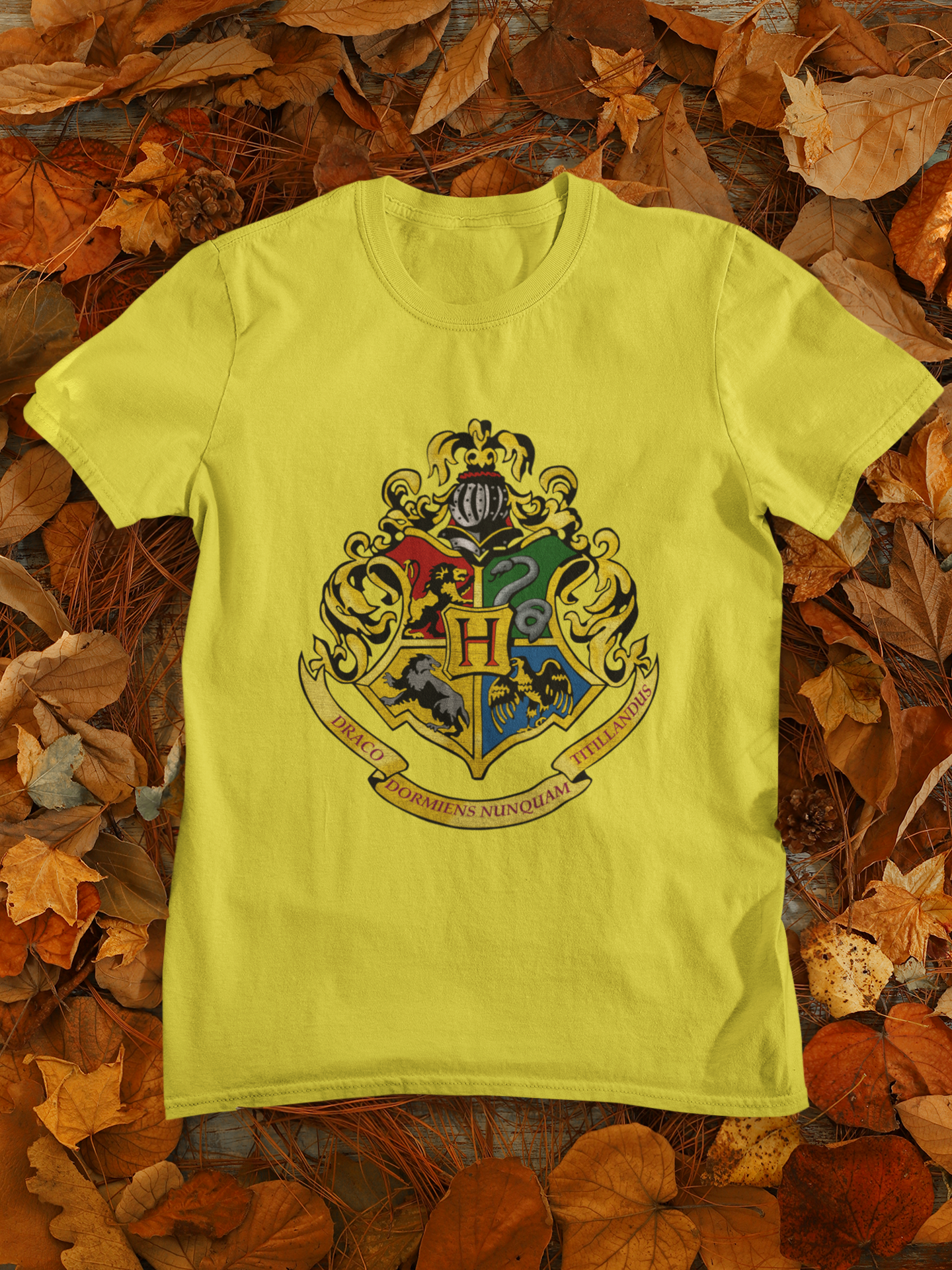 Harry Potter Web Series Mens Half Sleeves T-shirt- FunkyTeesClub